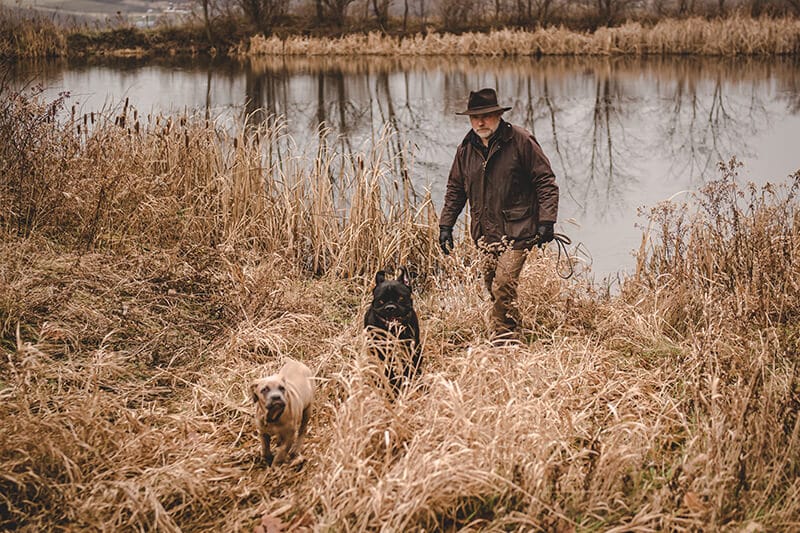 Hiking with dogs